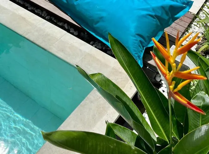 Rumah Ananda Bali - Balinese Umalas Canggu
